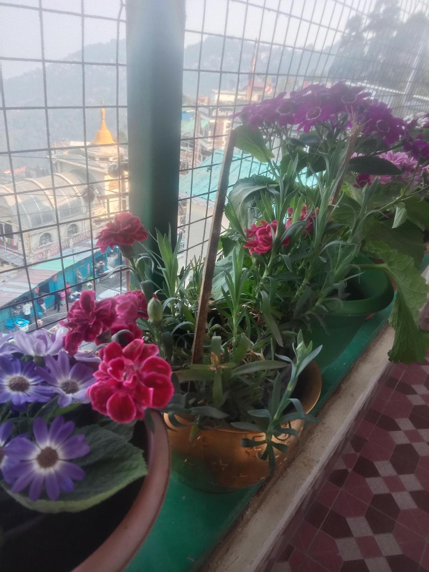 Beverly Hills Home Stay Darjeeling  Bagian luar foto