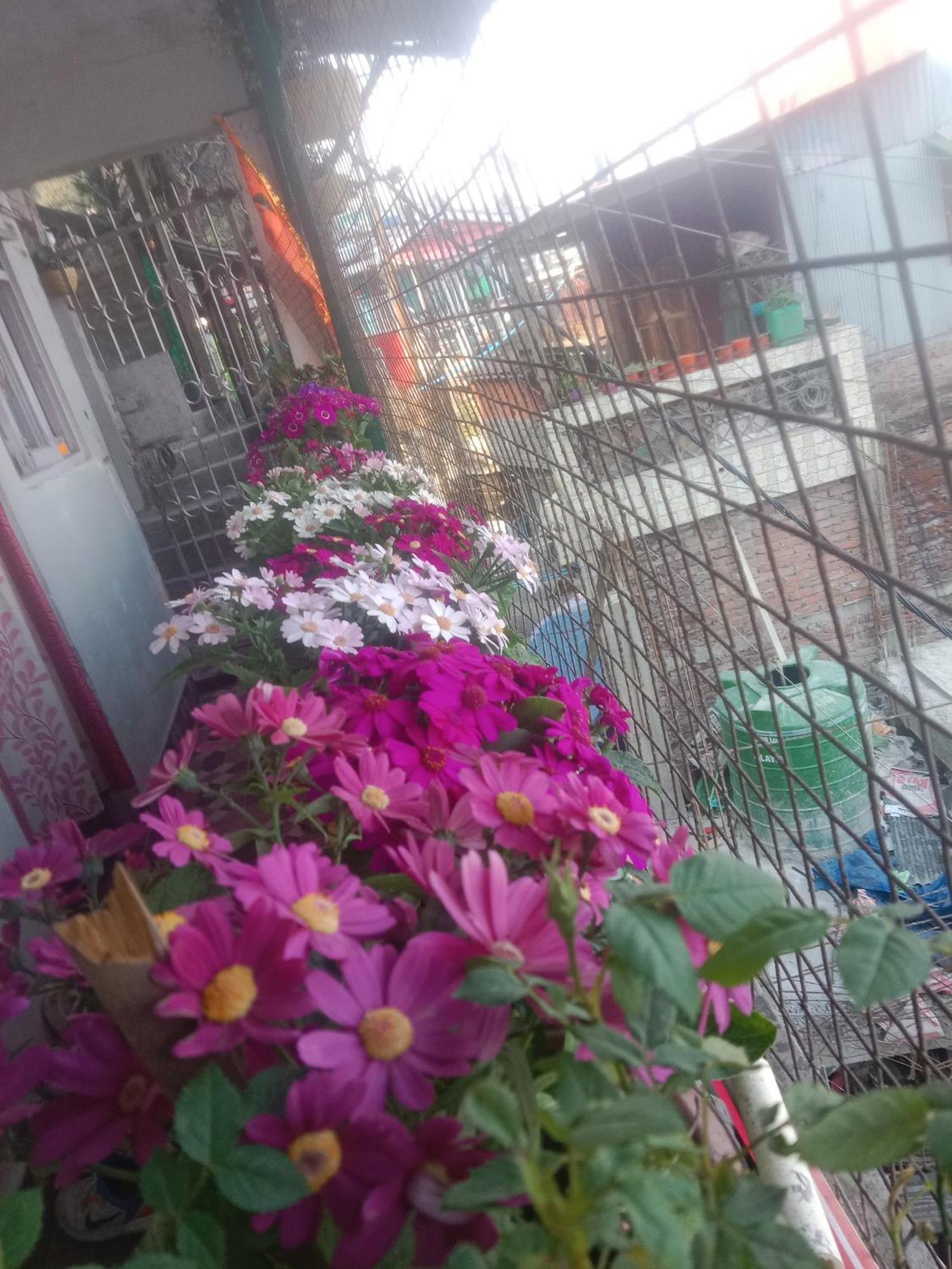 Beverly Hills Home Stay Darjeeling  Bagian luar foto