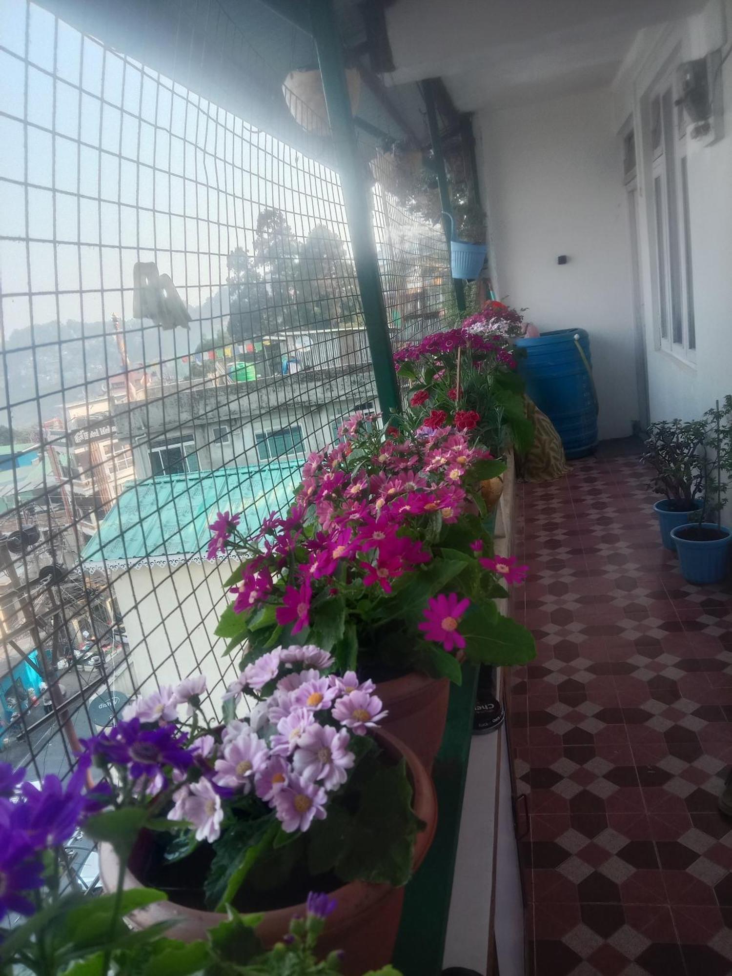 Beverly Hills Home Stay Darjeeling  Bagian luar foto